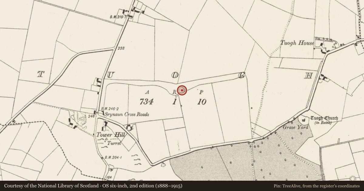 Ordnance Survey six-inch map, 2nd edition (1888–1915) covering the location of Ringfort - rath, Tuogh, County Limerick, with a pin at the register's coordinates