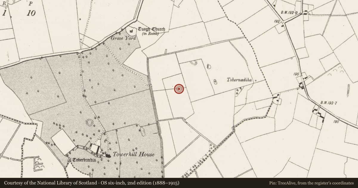 Ordnance Survey six-inch map, 2nd edition (1888–1915) covering the location of Ringfort - rath, Tuogh, County Limerick, with a pin at the register's coordinates