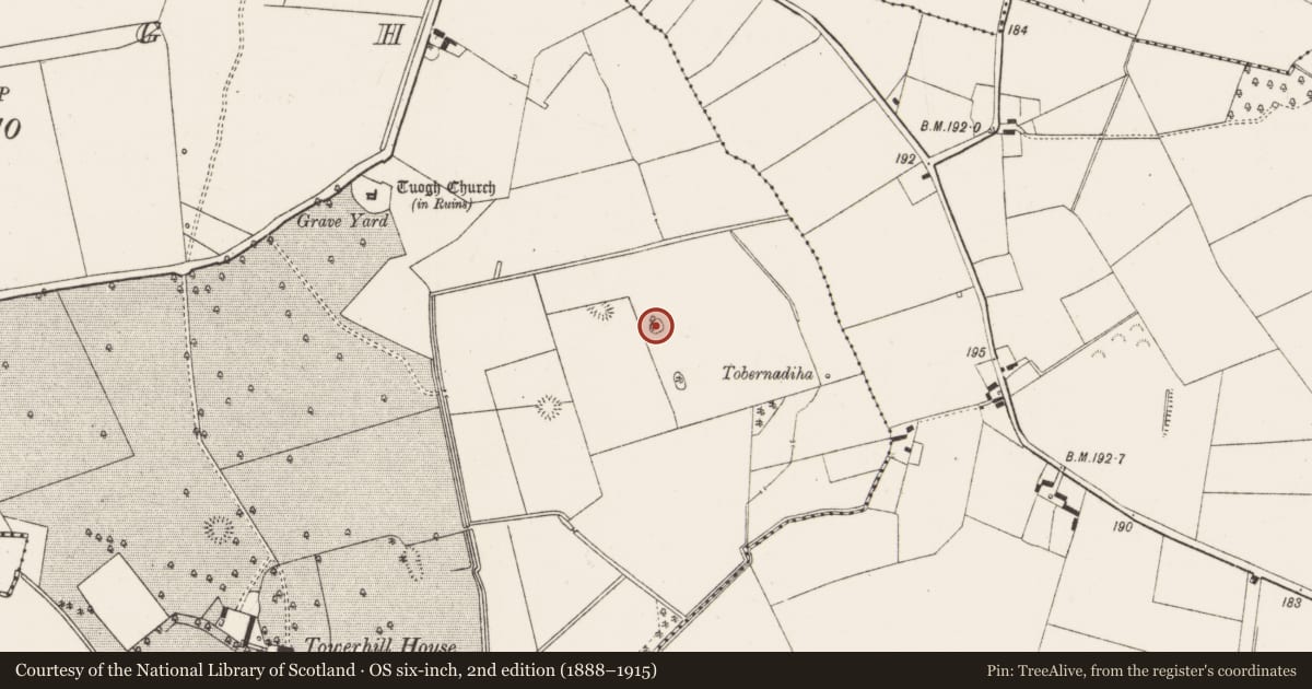 Ordnance Survey six-inch map, 2nd edition (1888–1915) covering the location of Ringfort - rath, Tuogh, County Limerick, with a pin at the register's coordinates