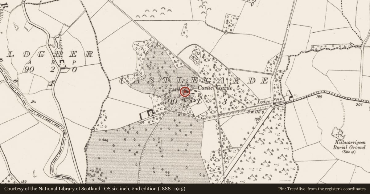 Ordnance Survey six-inch map, 2nd edition (1888–1915) covering the location of Castle - tower house, Castlegarde, County Limerick, with a pin at the register's coordinates