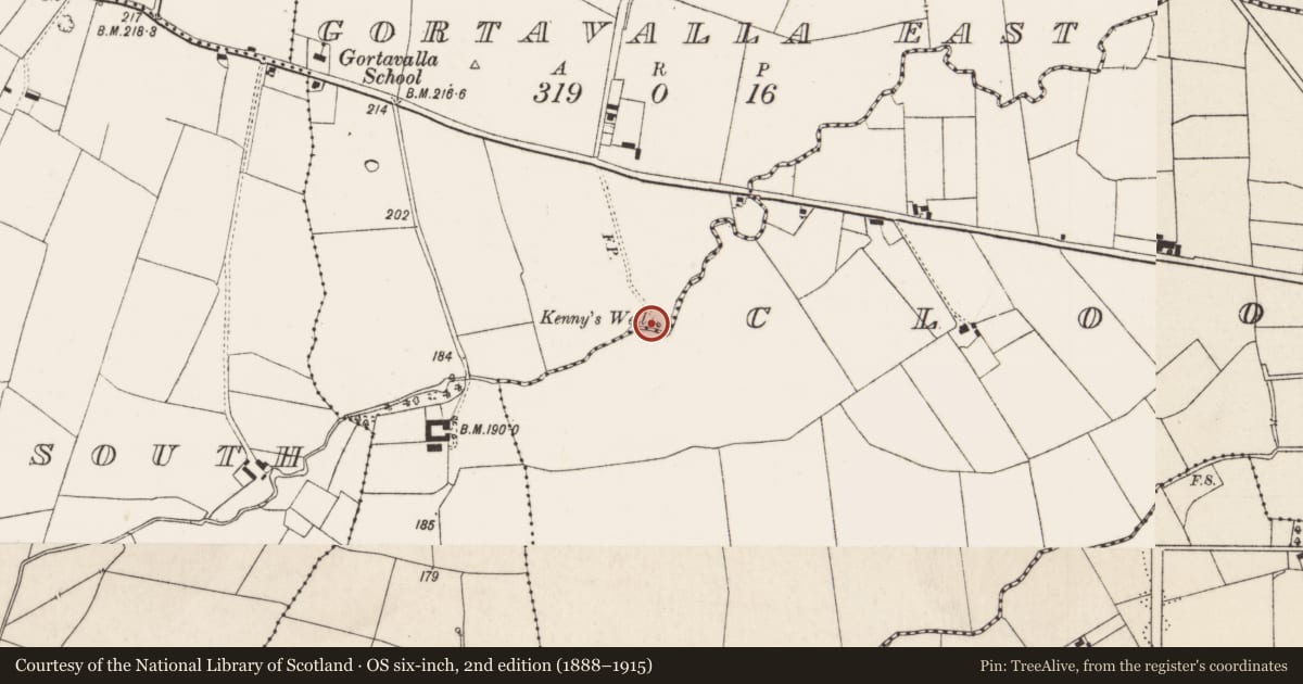 Ordnance Survey six-inch map, 2nd edition (1888–1915) covering the location of Ritual site - holy well, Gortavalla East, County Limerick, with a pin at the register's coordinates