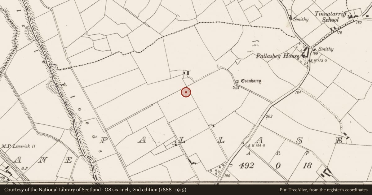 Ordnance Survey six-inch map, 2nd edition (1888–1915) covering the location of Burial ground, Pallasbeg, County Limerick, with a pin at the register's coordinates