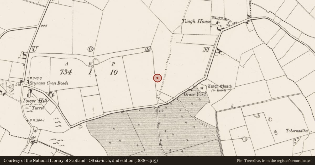Ordnance Survey six-inch map, 2nd edition (1888–1915) covering the location of Bullaun stone, Tuogh, County Limerick, with a pin at the register's coordinates