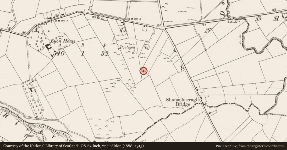 Ordnance Survey six-inch map, 2nd edition (1888–1915) covering the location of Megalithic structure, Eyon, County Limerick, with a pin at the register's coordinates