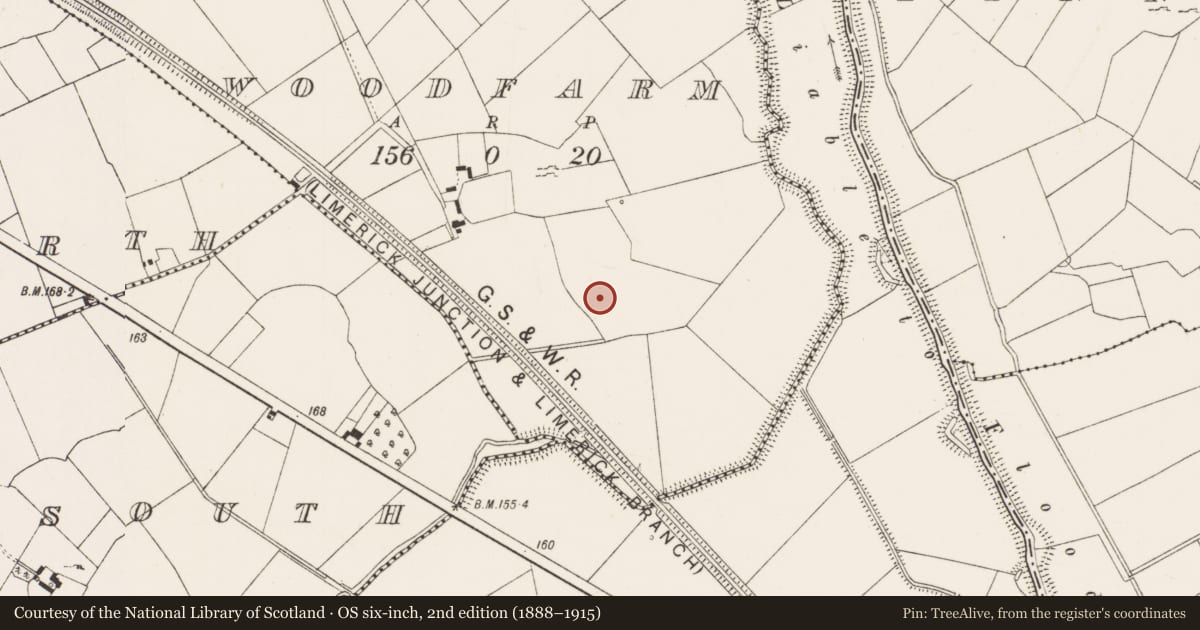 Ordnance Survey six-inch map, 2nd edition (1888–1915) covering the location of Ringfort - rath, Woodfarm, County Limerick, with a pin at the register's coordinates