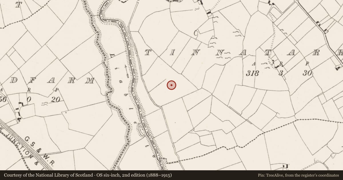 Ordnance Survey six-inch map, 2nd edition (1888–1915) covering the location of Barrow - ring-barrow, Tinnatarriff, County Limerick, with a pin at the register's coordinates