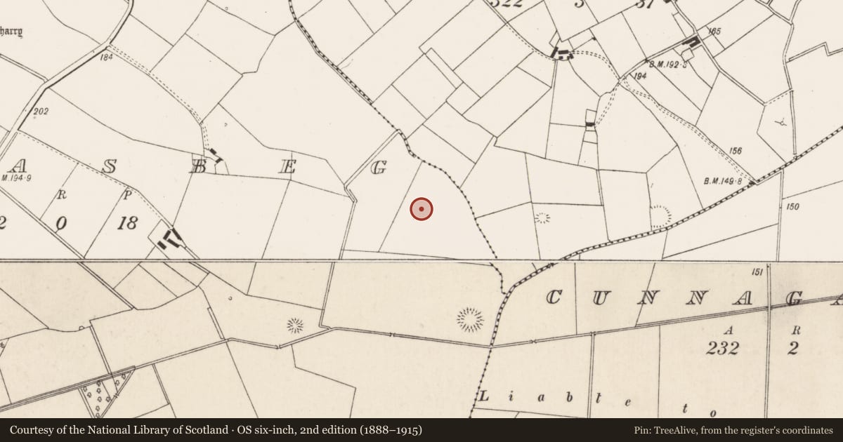 Ordnance Survey six-inch map, 2nd edition (1888–1915) covering the location of Enclosure, Pallasbeg, County Limerick, with a pin at the register's coordinates