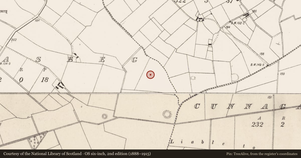 Ordnance Survey six-inch map, 2nd edition (1888–1915) covering the location of Barrow - ring-barrow, Pallasbeg, County Limerick, with a pin at the register's coordinates