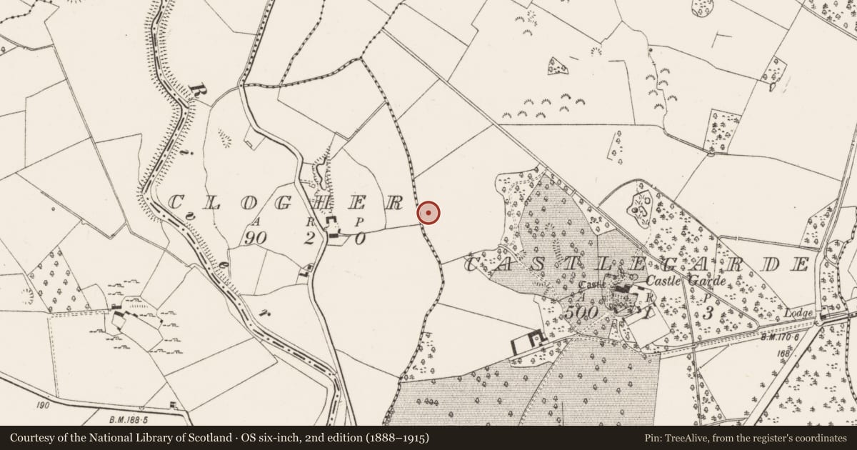 Ordnance Survey six-inch map, 2nd edition (1888–1915) covering the location of Enclosure, Castlegarde, County Limerick, with a pin at the register's coordinates