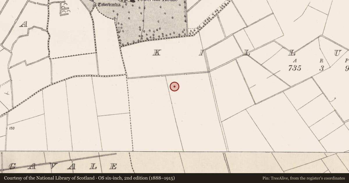 Ordnance Survey six-inch map, 2nd edition (1888–1915) covering the location of Field system, County Limerick, with a pin at the register's coordinates