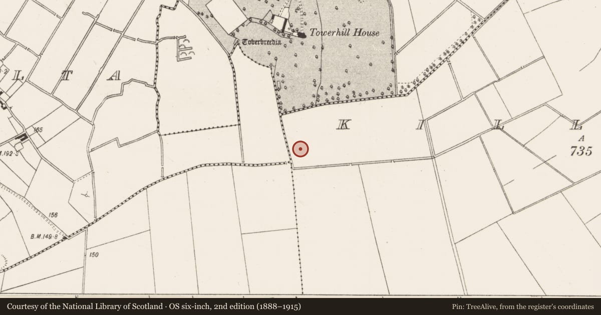 Ordnance Survey six-inch map, 2nd edition (1888–1915) covering the location of Enclosure, Dromalta, County Limerick, with a pin at the register's coordinates
