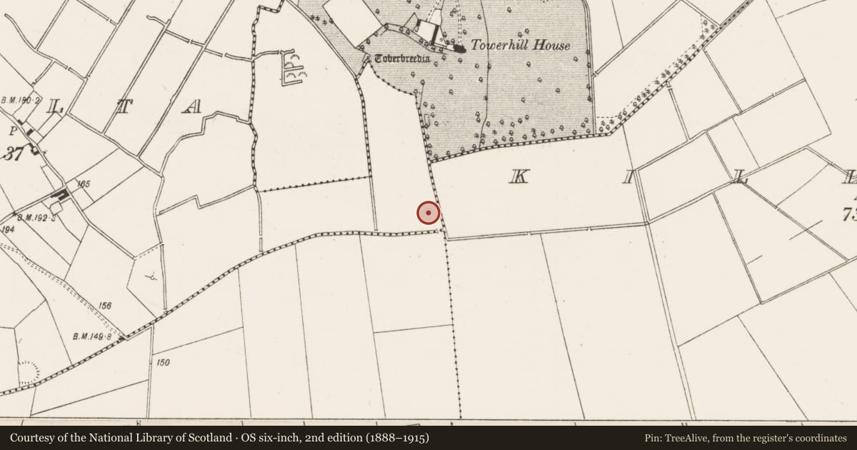 Ordnance Survey six-inch map, 2nd edition (1888–1915) covering the location of Enclosure, Dromalta, County Limerick, with a pin at the register's coordinates