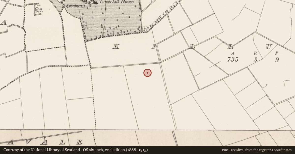 Ordnance Survey six-inch map, 2nd edition (1888–1915) covering the location of Enclosure, Killuragh, County Limerick, with a pin at the register's coordinates
