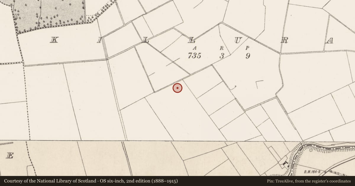 Ordnance Survey six-inch map, 2nd edition (1888–1915) covering the location of Barrow - ring-barrow, Killuragh, County Limerick, with a pin at the register's coordinates