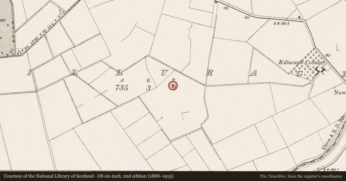 Ordnance Survey six-inch map, 2nd edition (1888–1915) covering the location of Barrow - ring-barrow, Killuragh, County Limerick, with a pin at the register's coordinates