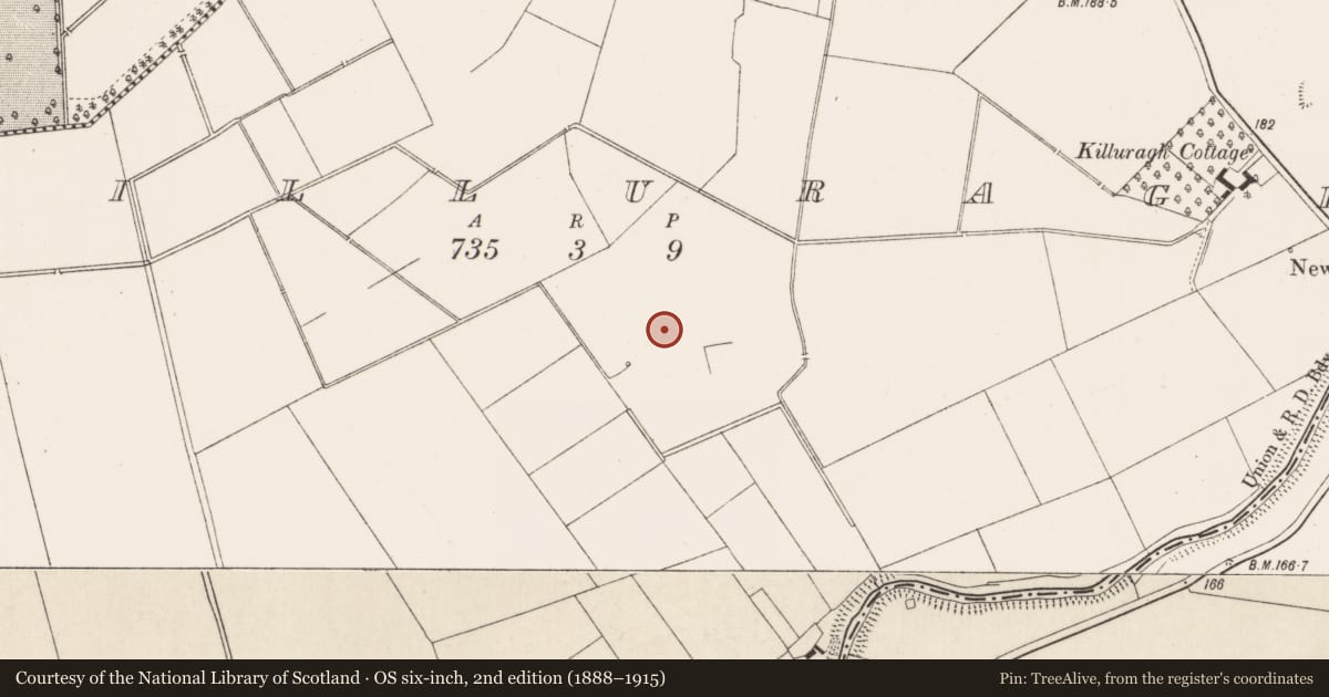 Ordnance Survey six-inch map, 2nd edition (1888–1915) covering the location of Barrow - ring-barrow, Killuragh, County Limerick, with a pin at the register's coordinates