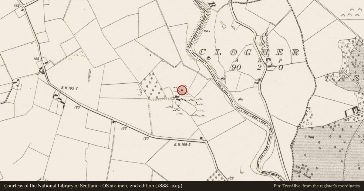 Ordnance Survey six-inch map, 2nd edition (1888–1915) covering the location of Cave, Killuragh, County Limerick, with a pin at the register's coordinates