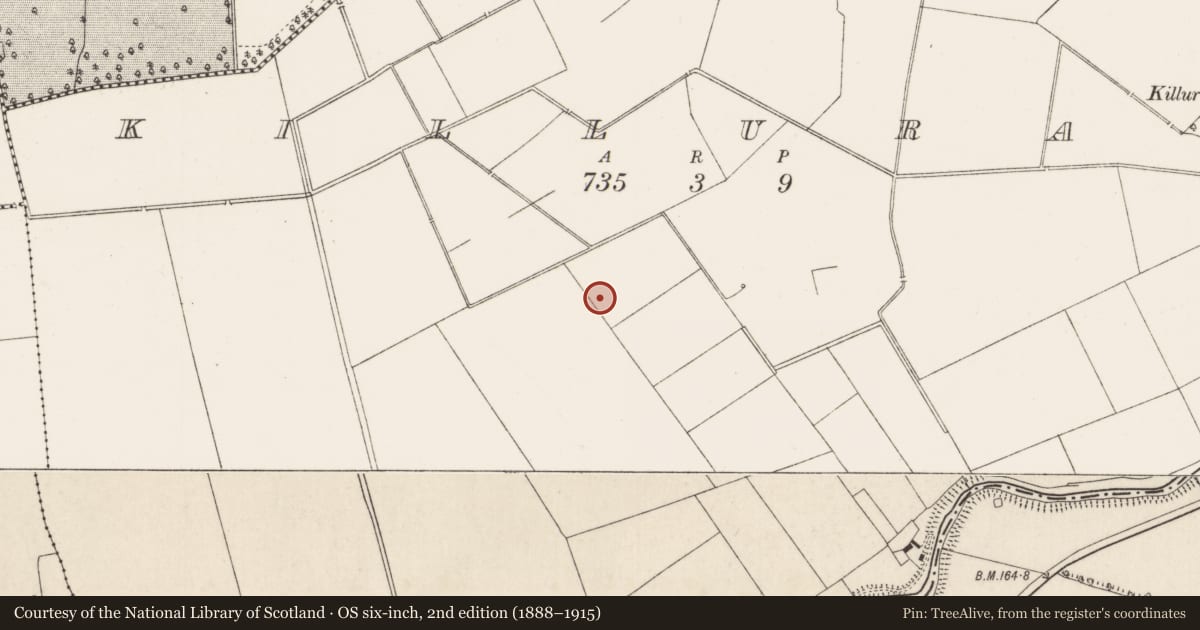 Ordnance Survey six-inch map, 2nd edition (1888–1915) covering the location of Enclosure, Killuragh, County Limerick, with a pin at the register's coordinates