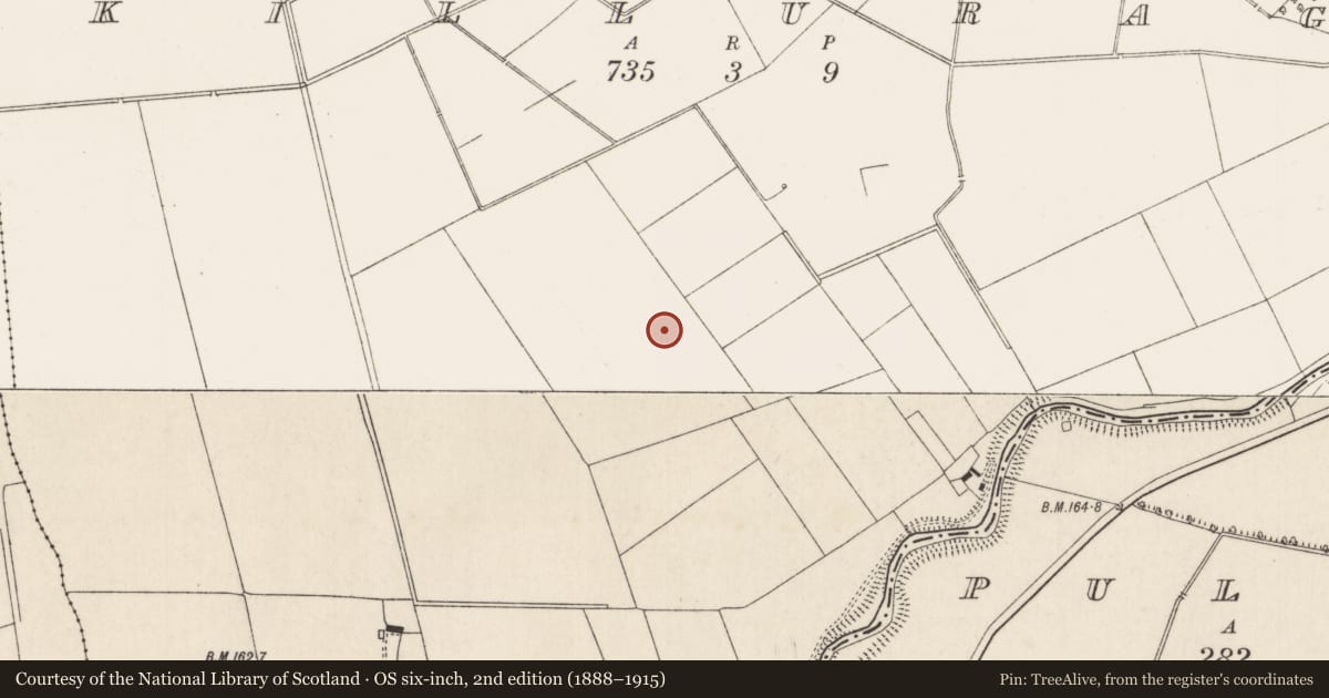 Ordnance Survey six-inch map, 2nd edition (1888–1915) covering the location of Enclosure, Killuragh, County Limerick, with a pin at the register's coordinates