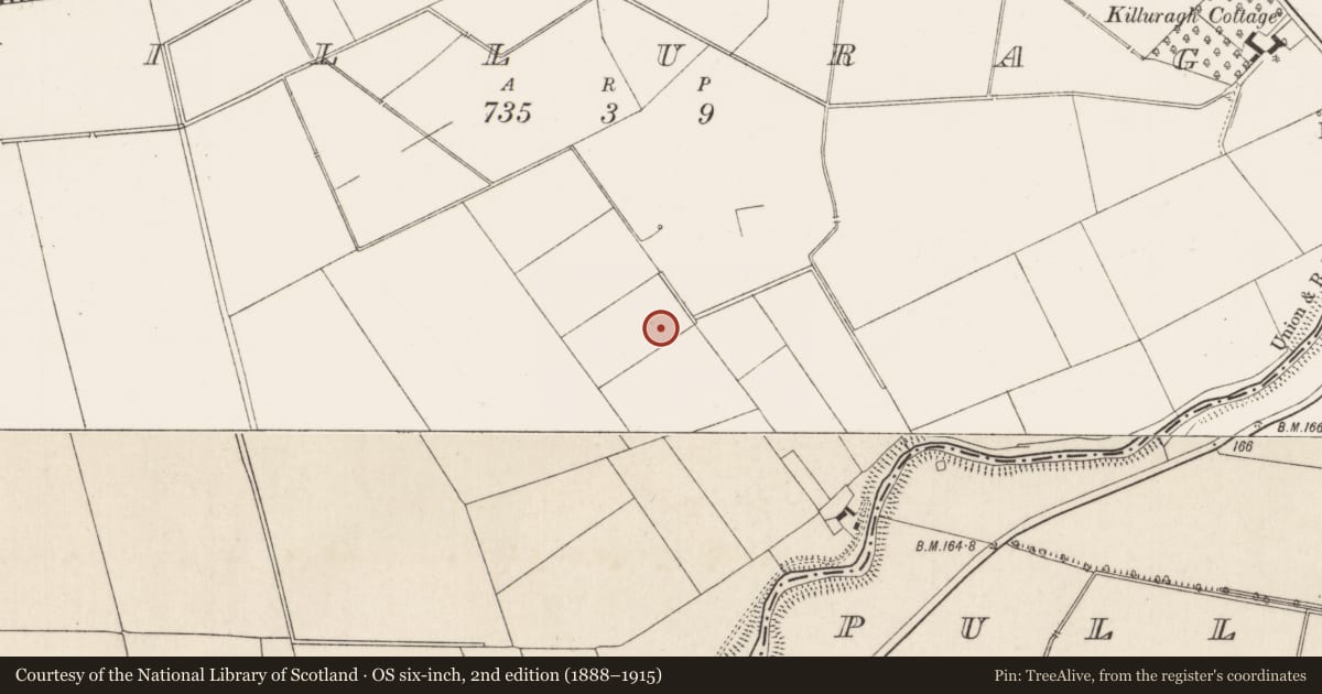 Ordnance Survey six-inch map, 2nd edition (1888–1915) covering the location of Enclosure, Killuragh, County Limerick, with a pin at the register's coordinates