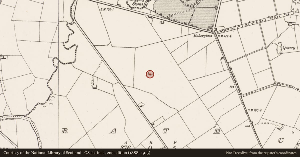 Ordnance Survey six-inch map, 2nd edition (1888–1915) covering the location of Kiln - corn-drying, Rath, County Limerick, with a pin at the register's coordinates