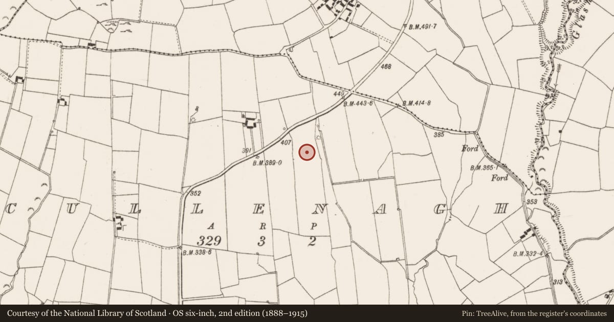 Ordnance Survey six-inch map, 2nd edition (1888–1915) covering the location of Mound, Cullenagh, County Limerick, with a pin at the register's coordinates
