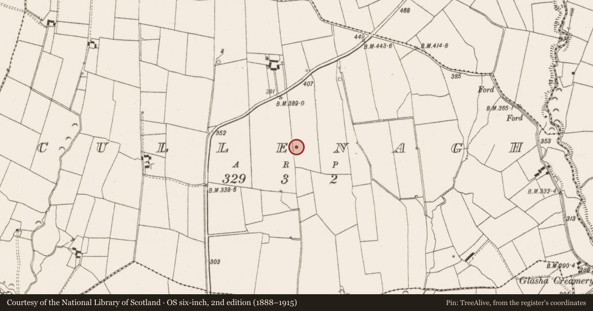 Ordnance Survey six-inch map, 2nd edition (1888–1915) covering the location of Mound, Cullenagh, County Limerick, with a pin at the register's coordinates