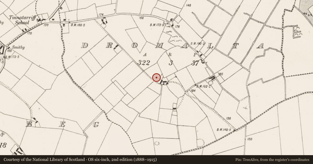 Ordnance Survey six-inch map, 2nd edition (1888–1915) covering the location of Standing stone, Dromalta, County Limerick, with a pin at the register's coordinates