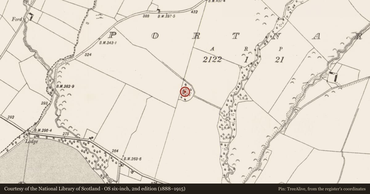 Ordnance Survey six-inch map, 2nd edition (1888–1915) covering the location of Castle - motte and bailey, Portnard, County Limerick, with a pin at the register's coordinates