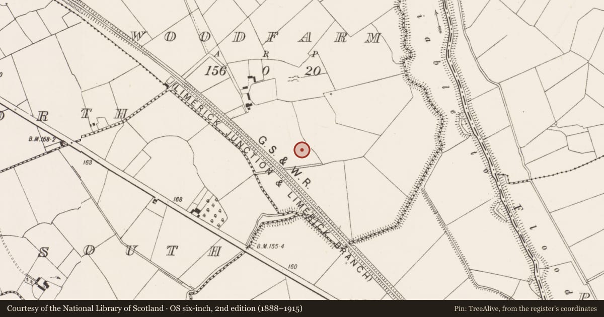 Ordnance Survey six-inch map, 2nd edition (1888–1915) covering the location of Enclosure, Woodfarm, County Limerick, with a pin at the register's coordinates