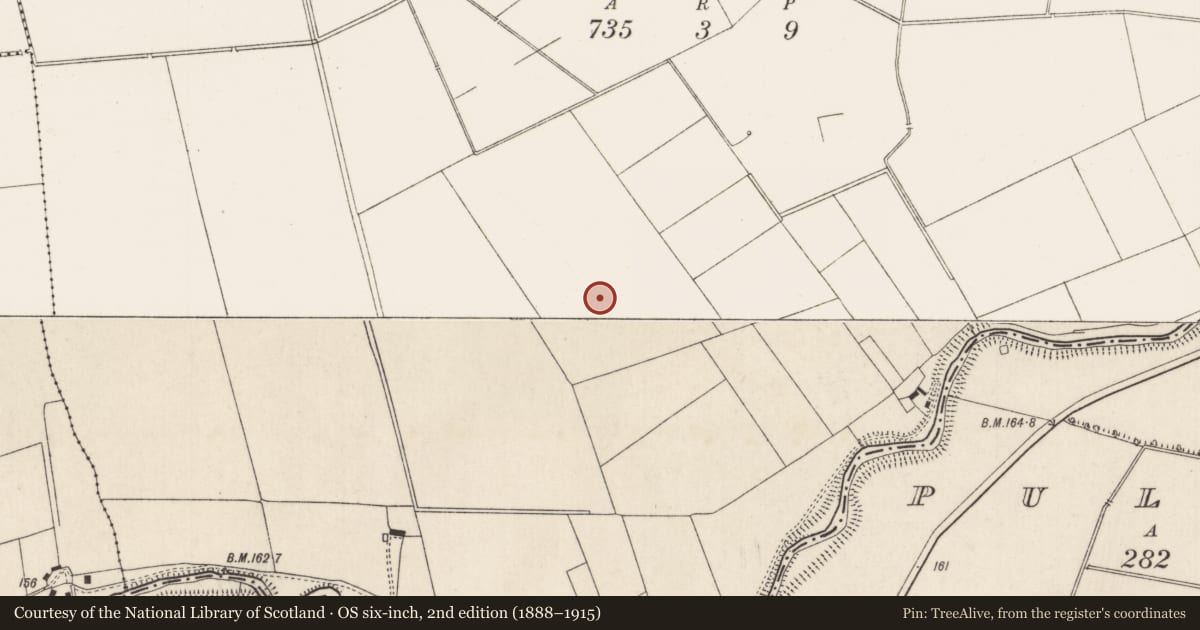 Ordnance Survey six-inch map, 2nd edition (1888–1915) covering the location of Field system, Killuragh, County Limerick, with a pin at the register's coordinates