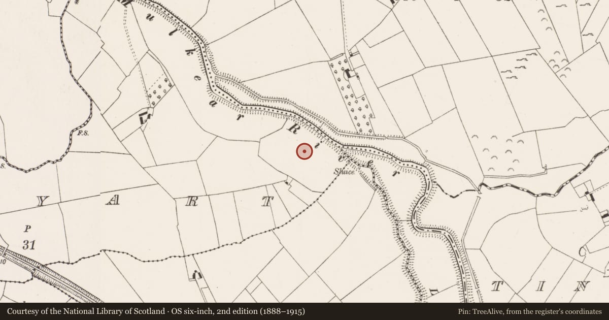 Ordnance Survey six-inch map, 2nd edition (1888–1915) covering the location of Enclosure, Ballyart, County Limerick, with a pin at the register's coordinates