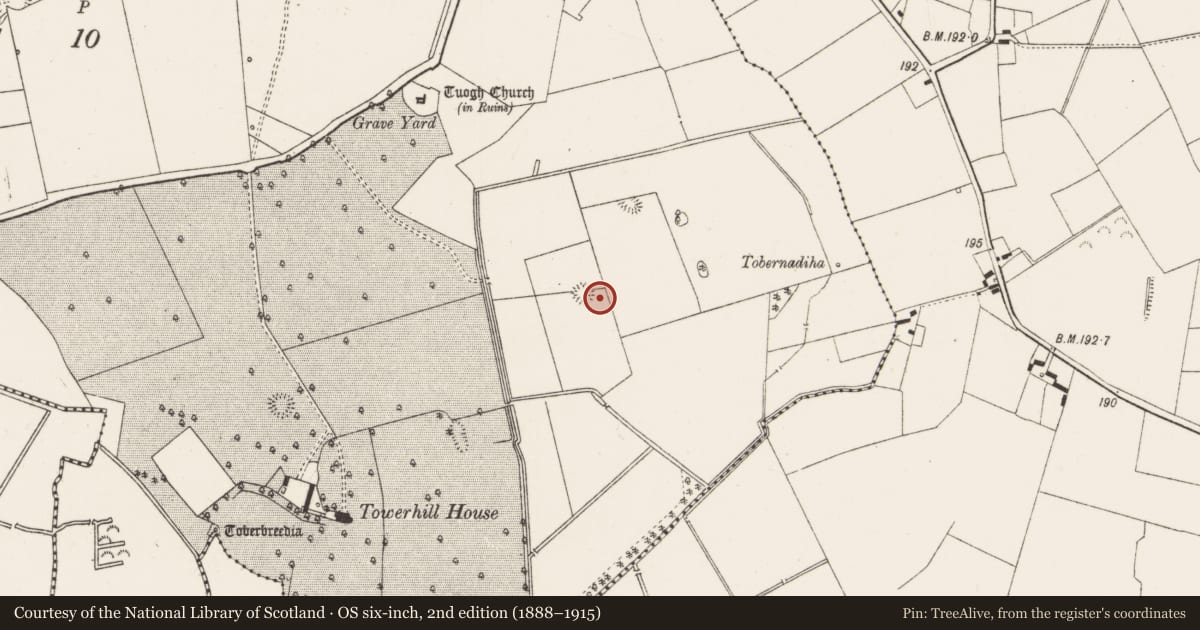 Ordnance Survey six-inch map, 2nd edition (1888–1915) covering the location of Barrow - ring-barrow, Tuogh, County Limerick, with a pin at the register's coordinates