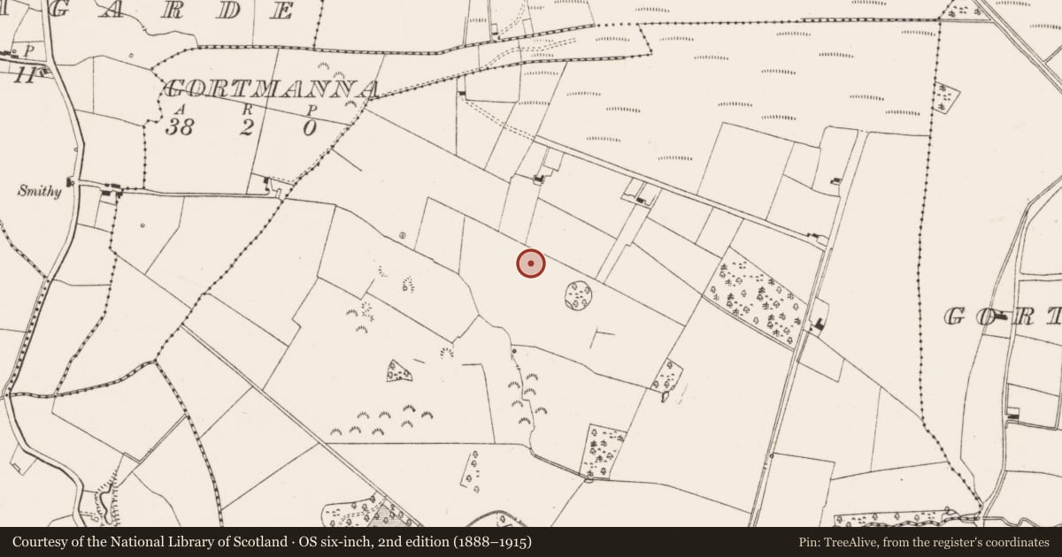 Ordnance Survey six-inch map, 2nd edition (1888–1915) covering the location of Enclosure, Castlegarde, County Limerick, with a pin at the register's coordinates