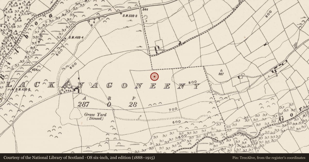 Ordnance Survey six-inch map, 2nd edition (1888–1915) covering the location of Stone row, Lackanagoneeny, County Limerick, with a pin at the register's coordinates
