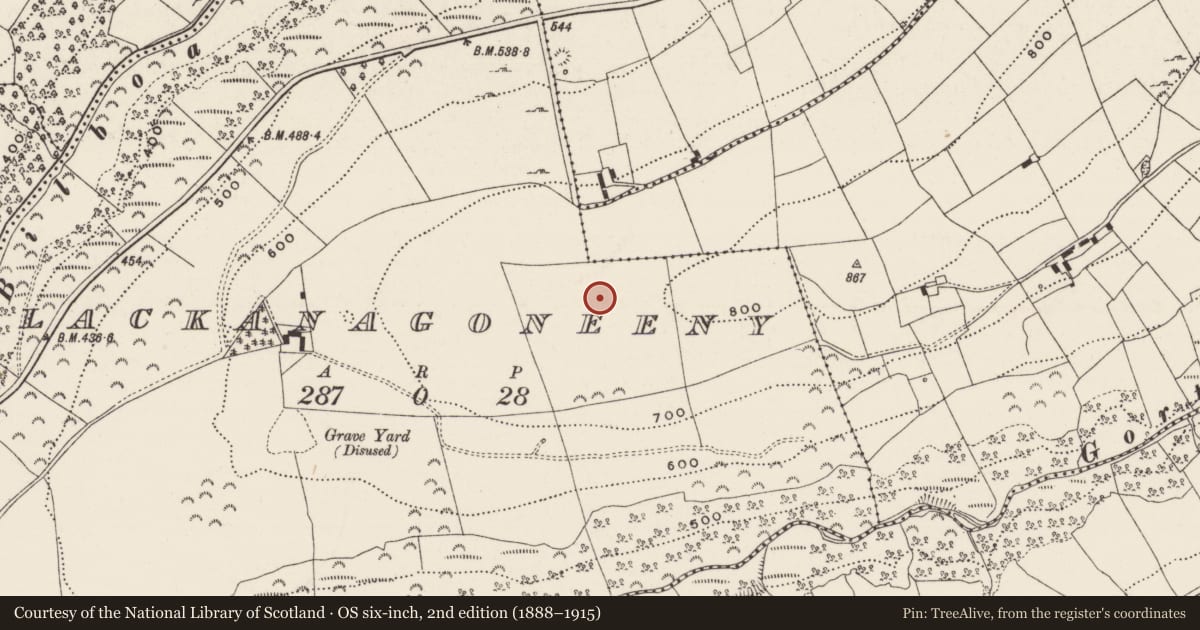 Ordnance Survey six-inch map, 2nd edition (1888–1915) covering the location of Standing stone, Reenavanna East, County Limerick, with a pin at the register's coordinates