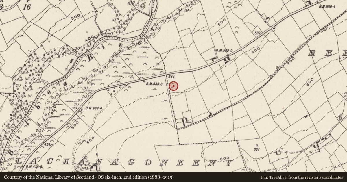 Ordnance Survey six-inch map, 2nd edition (1888–1915) covering the location of Earthwork, Reenavanna West, County Limerick, with a pin at the register's coordinates