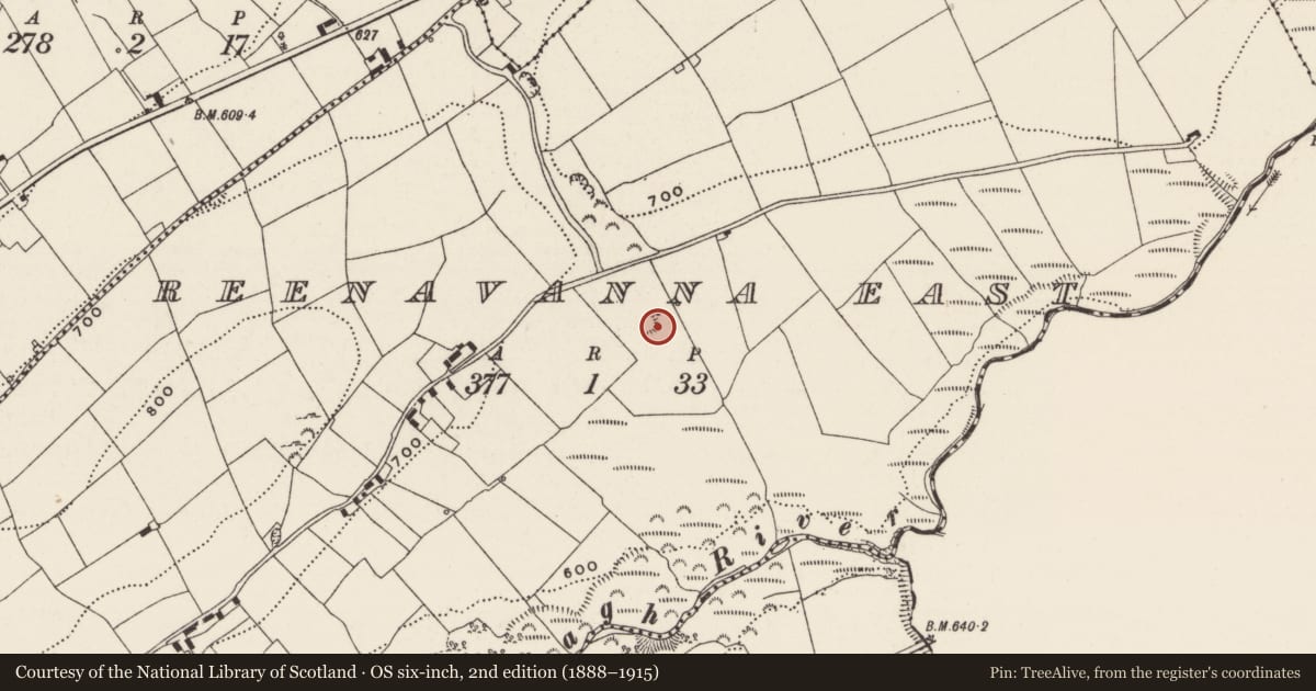 Ordnance Survey six-inch map, 2nd edition (1888–1915) covering the location of Enclosure, Reenavanna East, County Limerick, with a pin at the register's coordinates
