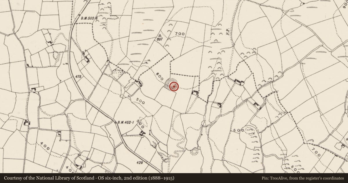 Ordnance Survey six-inch map, 2nd edition (1888–1915) covering the location of Ringfort - rath, Doon North, County Limerick, with a pin at the register's coordinates
