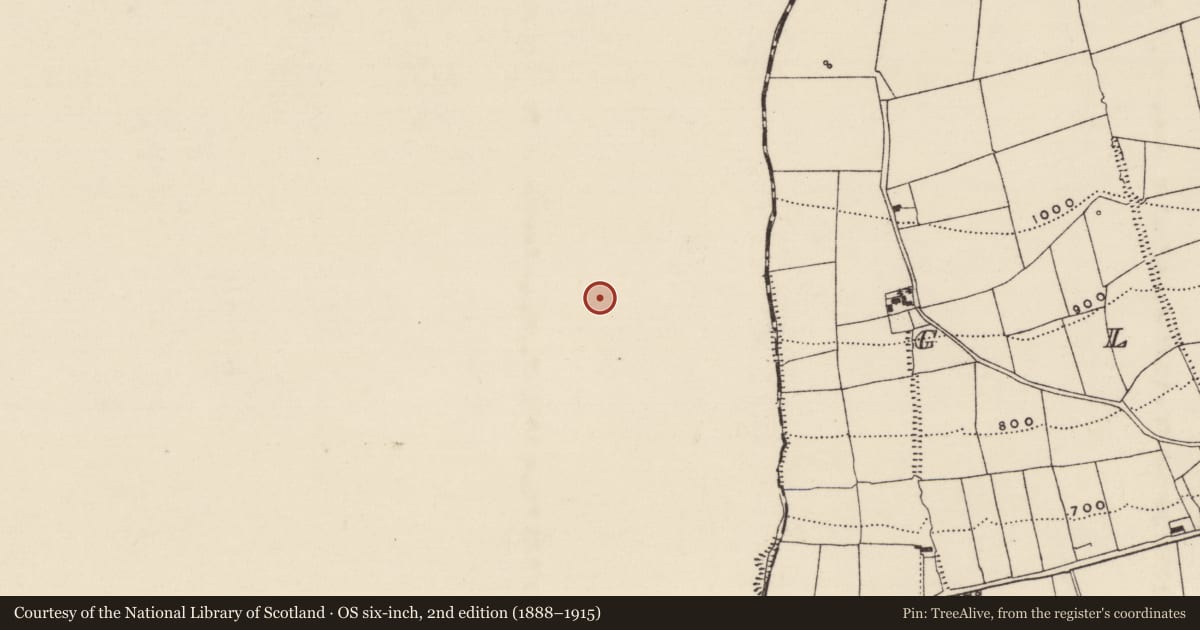 Ordnance Survey six-inch map, 2nd edition (1888–1915) covering the location of Ringfort - rath, Doon North, Lissowen, County Limerick, with a pin at the register's coordinates