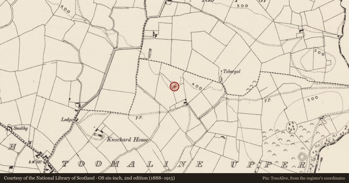 Ordnance Survey six-inch map, 2nd edition (1888–1915) covering the location of Ringfort - rath, Toomaline Upper, County Limerick, with a pin at the register's coordinates