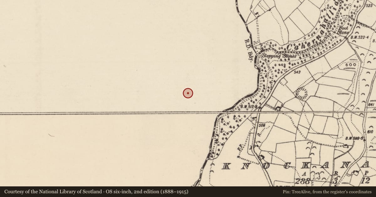 Ordnance Survey six-inch map, 2nd edition (1888–1915) covering the location of Designed landscape - tree-ring, Toomaline Upper, County Limerick, with a pin at the register's coordinates