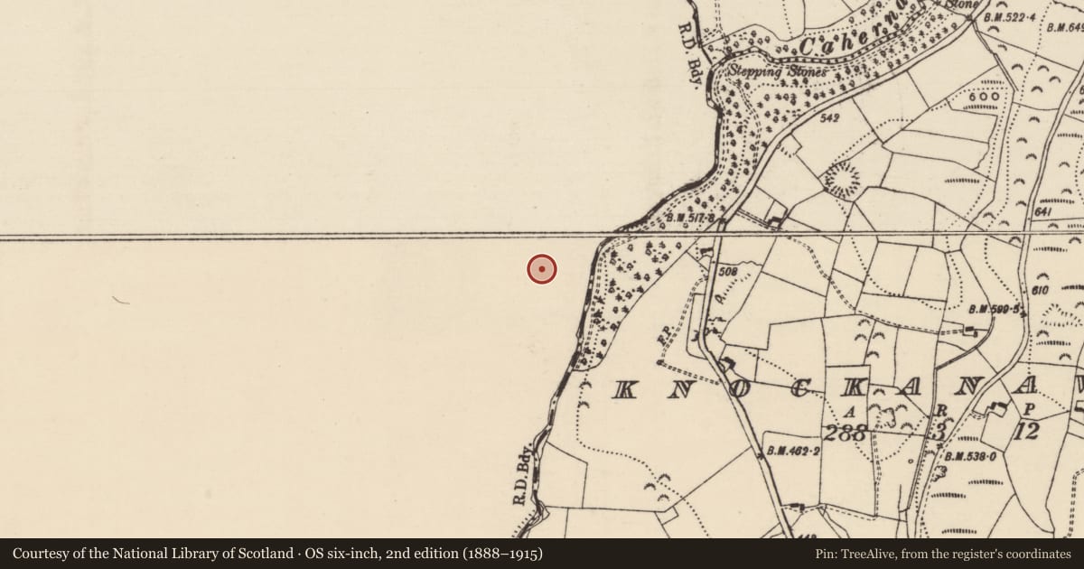 Ordnance Survey six-inch map, 2nd edition (1888–1915) covering the location of Ringfort - rath, Toomaline Upper, County Limerick, with a pin at the register's coordinates