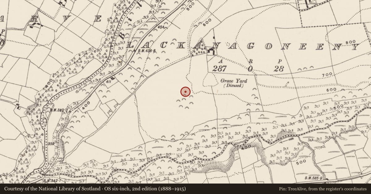 Ordnance Survey six-inch map, 2nd edition (1888–1915) covering the location of Moated site, Lackanagoneeny, County Limerick, with a pin at the register's coordinates