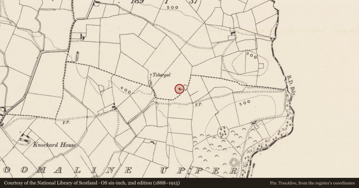 Ordnance Survey six-inch map, 2nd edition (1888–1915) covering the location of Ringfort - rath, Lissowen, County Limerick, with a pin at the register's coordinates