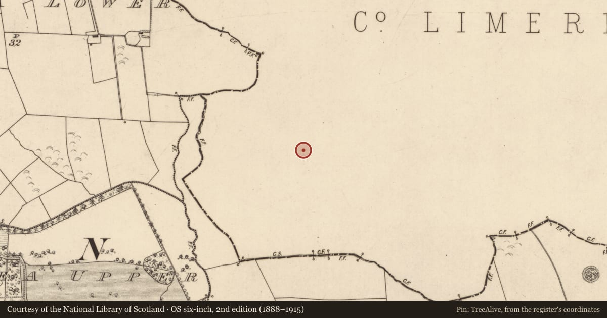 Ordnance Survey six-inch map, 2nd edition (1888–1915) covering the location of Ringfort - rath, Ballydonohoe, County Limerick, with a pin at the register's coordinates