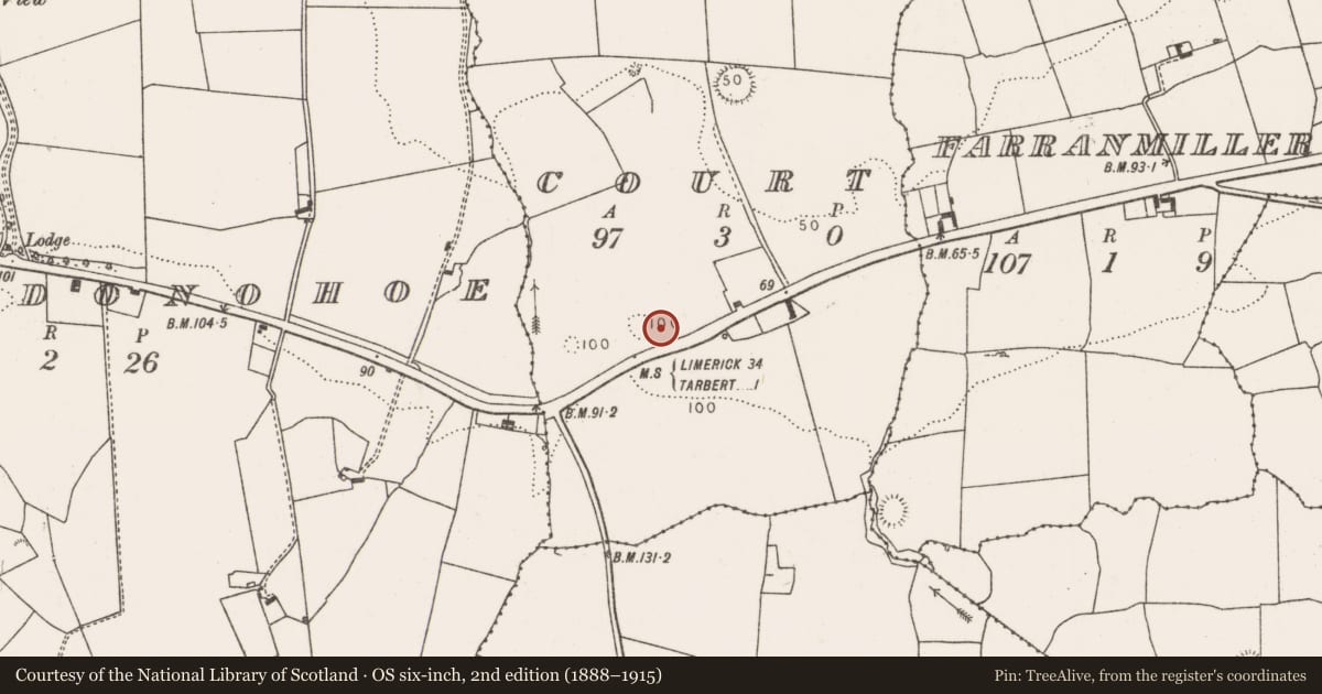 Ordnance Survey six-inch map, 2nd edition (1888–1915) covering the location of Enclosure, Court, County Limerick, with a pin at the register's coordinates
