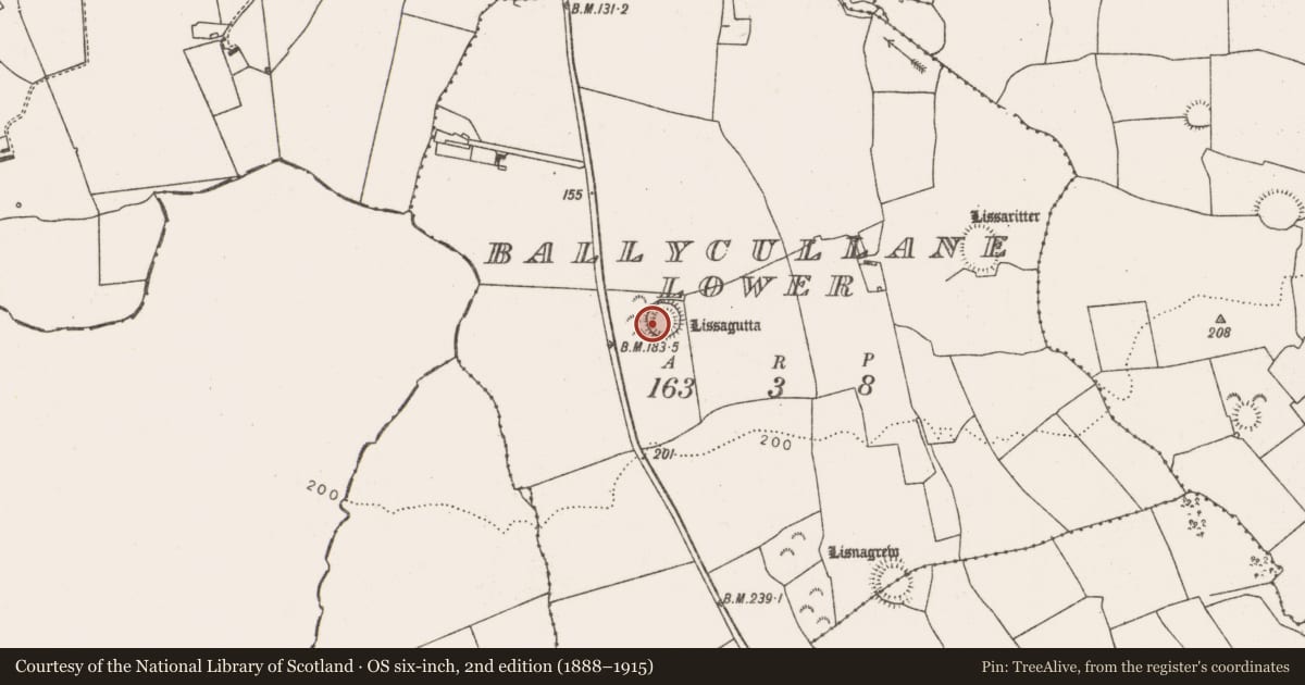 Ordnance Survey six-inch map, 2nd edition (1888–1915) covering the location of Ringfort - rath, Ballycullane Lower, County Limerick, with a pin at the register's coordinates