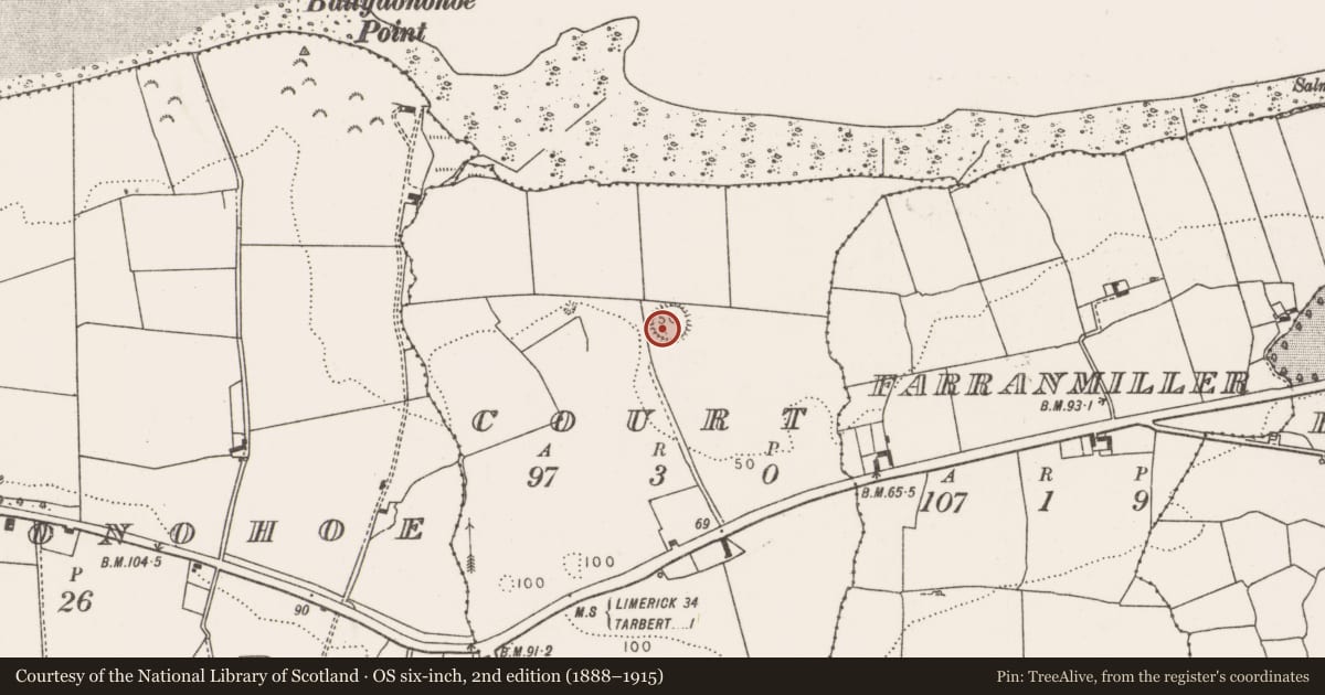 Ordnance Survey six-inch map, 2nd edition (1888–1915) covering the location of Ringfort - rath, Court, County Limerick, with a pin at the register's coordinates