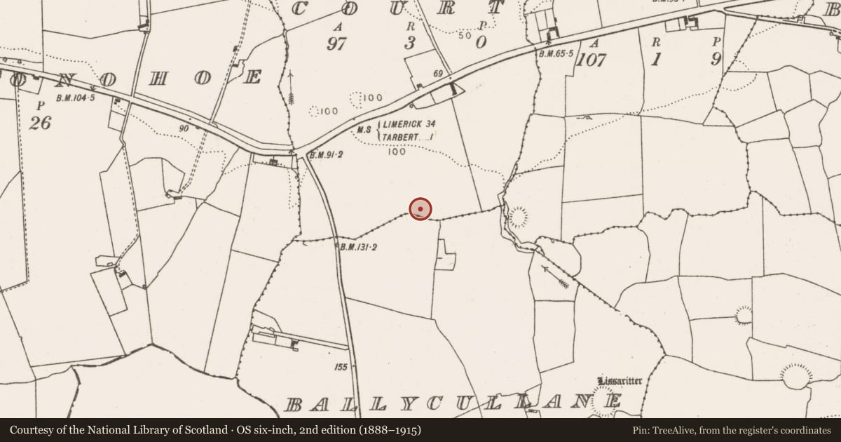 Ordnance Survey six-inch map, 2nd edition (1888–1915) covering the location of Ringfort - rath, Court, County Limerick, with a pin at the register's coordinates